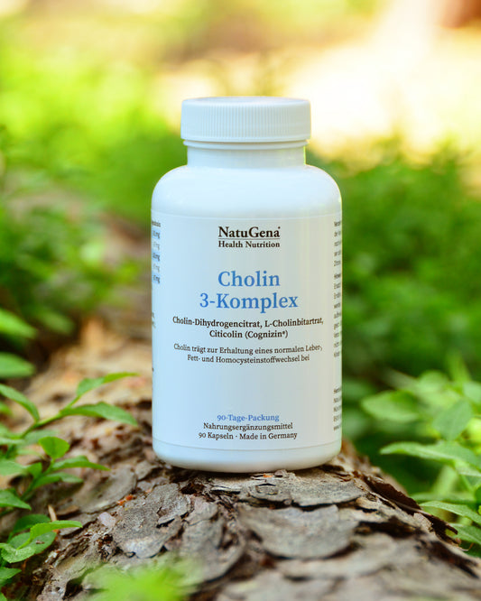 NatuGena Cholin-3-Komplex - 600mg Cholin - 90 vegane HPMC-Kapseln